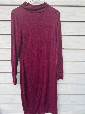 project RUNWAY Long-Sleeve Burgundy Turtleneck Dress